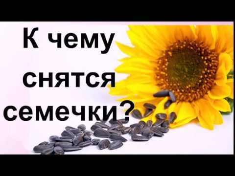 К чему снятся семечки подсолнуха: девушке, женщине, беременной, мужчине – толкование по разным сонникам