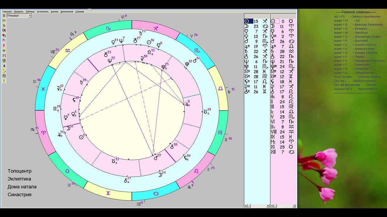 Квиконсы в синастрии. Синастрическая астрология. Луна оппозиция Плутон в синастрии. Синастрия картинки.