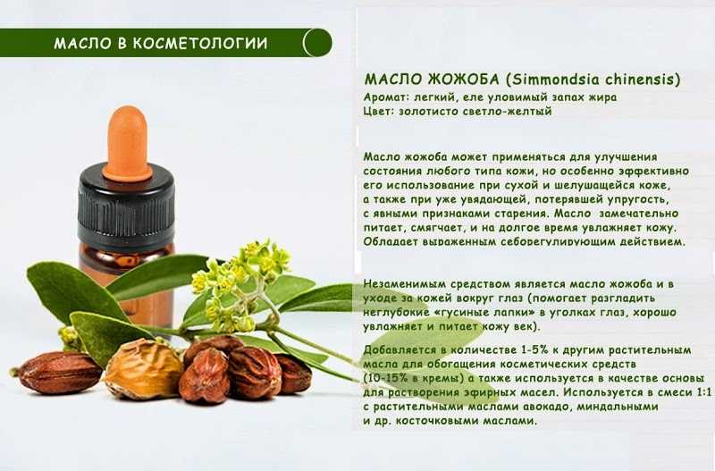 Эфирные масла от морщин на лице. 10 лучших эфирных масел для устранения морщин | школа красоты