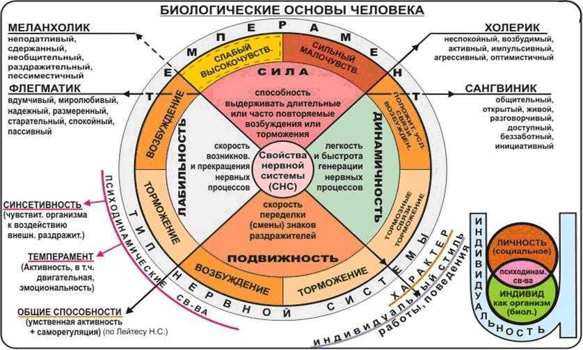 Солнце в близнецах: двойственность и особенности характера