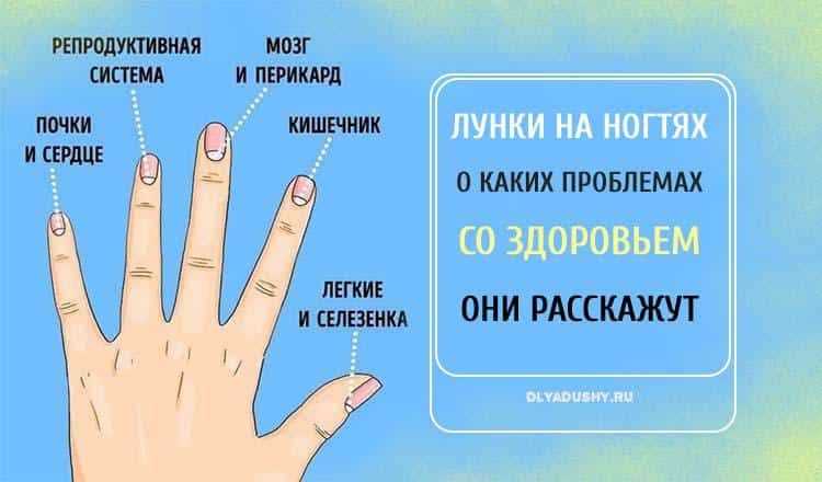 К чему снится сломанный ноготь на руке по соннику