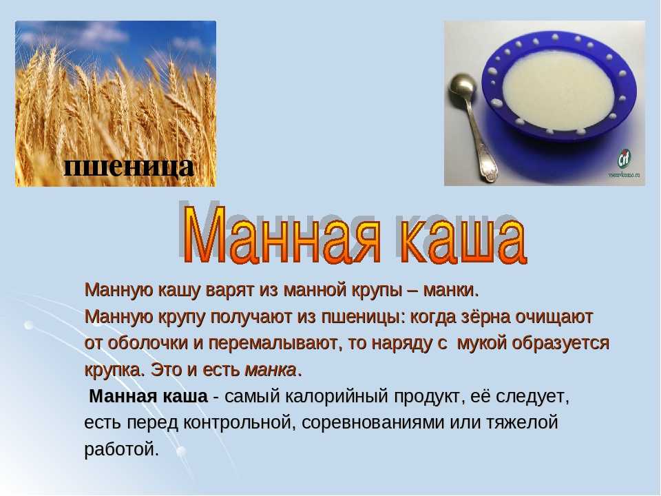К чему приснилась манная каша или крупа. к чему снится манная каша
