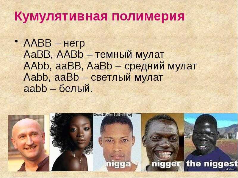 Разница между нигером и нигерией | сравните разницу между похожими терминами - другой - 2023