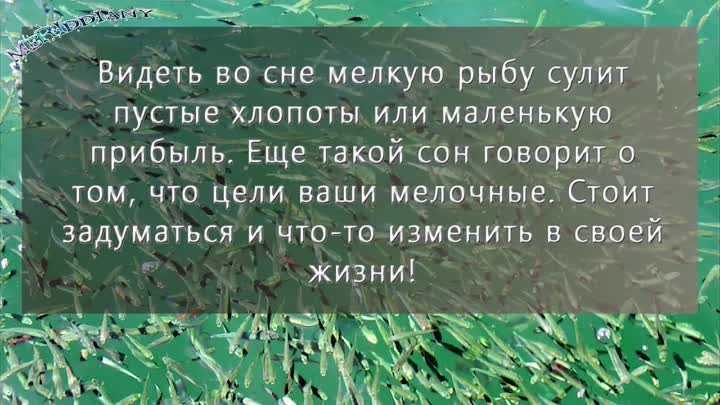 К чему снится рыба мужчине и женщине?