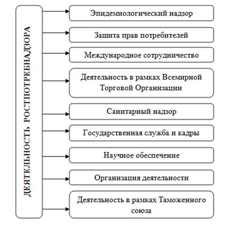 Роспотребнадзор: функции и полномочия. чем занимается роспотребнадзор :: businessman.ru