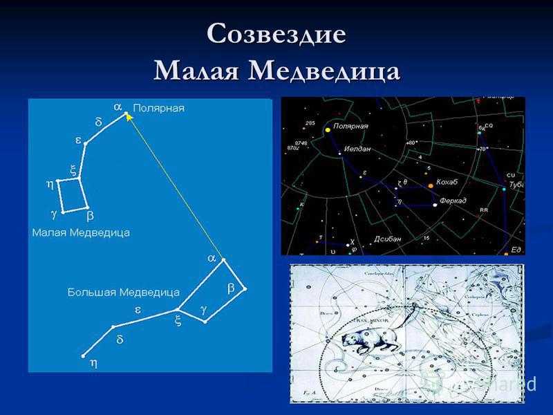 Маленькая медведица звезды. Созвездие малая Медведица астрономия. Малая Медведица Созвездие схема. Расположение звезд большой и малой медведицы. Большая и малая Медведица Полярная звезда.