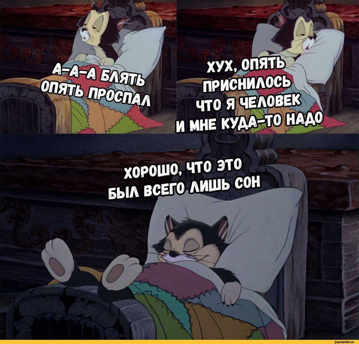 К чему снится  опоздание во сне — по 90 сонникам! если видишь во сне опоздание что значит?