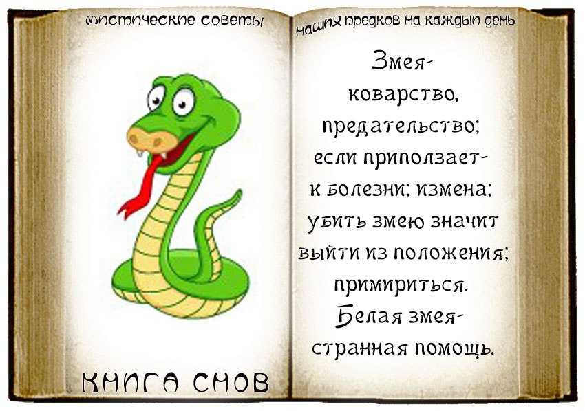 К чему во сне укусила змея. сонники про укус змеи