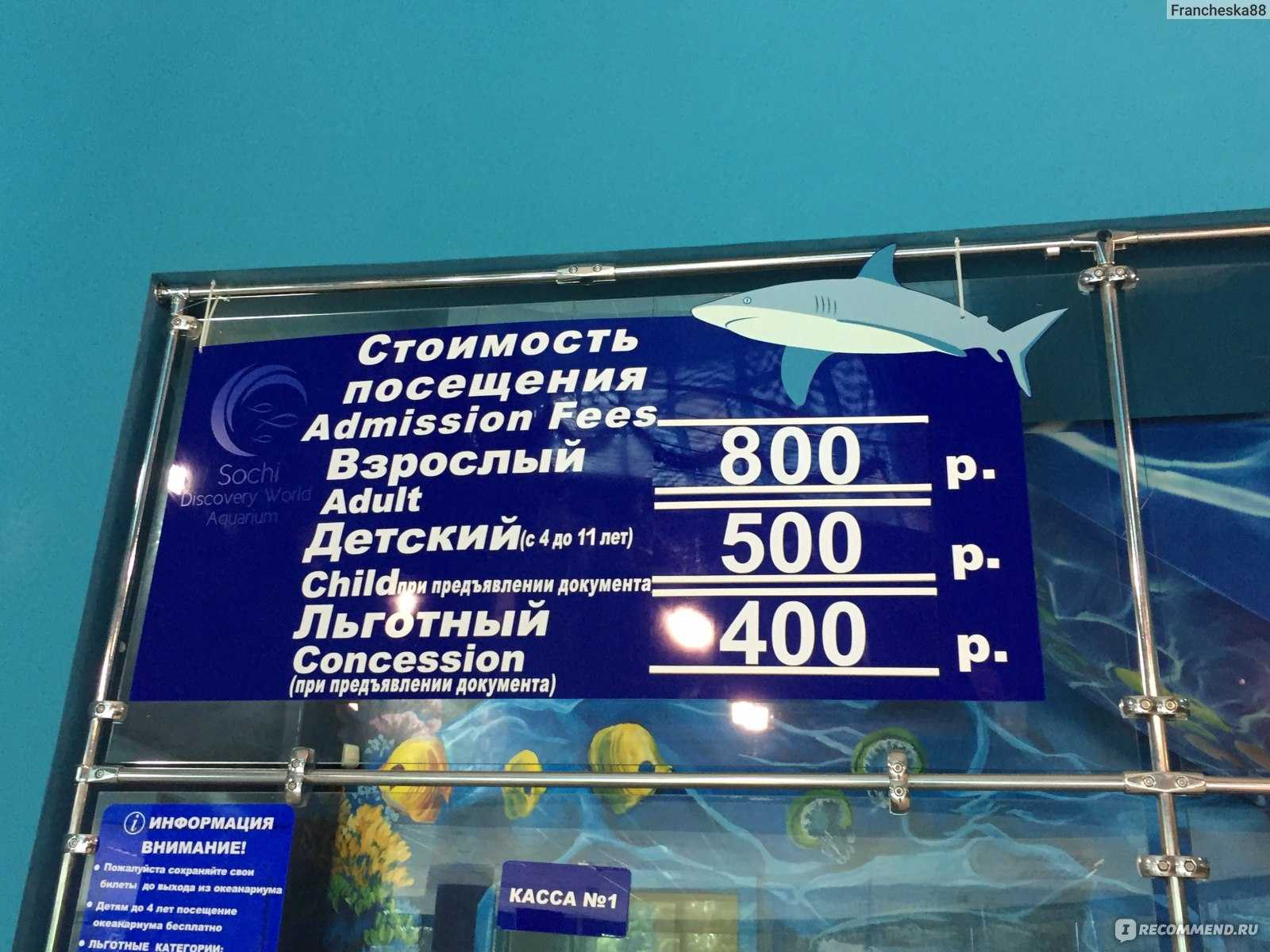 Дельфинарий астана, казахстан.шоу дельфинов казахстан.парк морских животных.плавание казахстан. vula просп. кабанбай батыра, astana