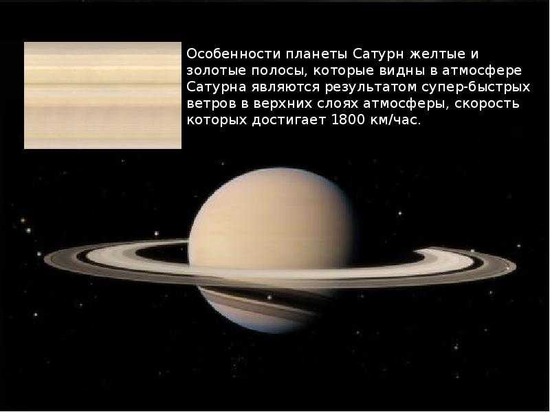 Глава i