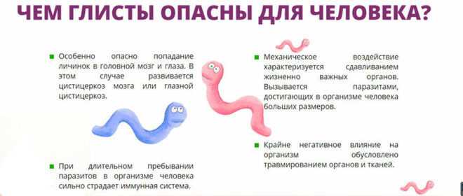 Глисты