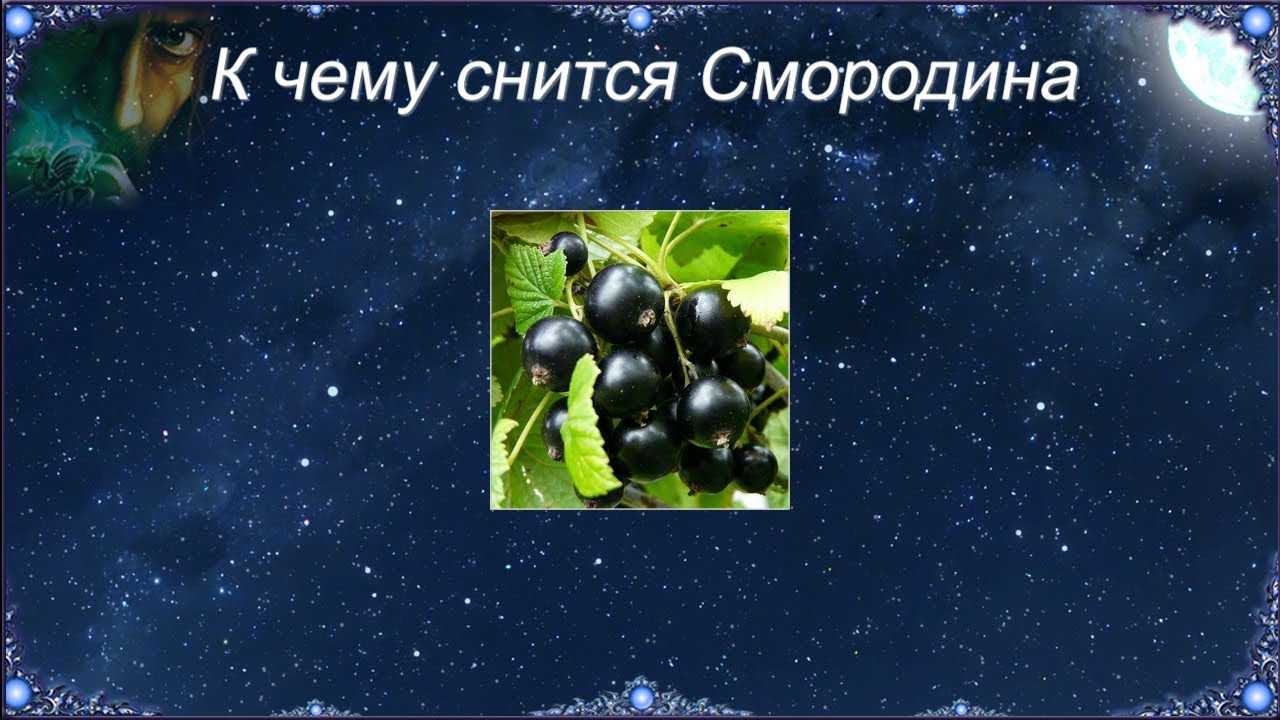 Сонник: к чему женщине снится есть ягоды черной и красной смородины во сне?