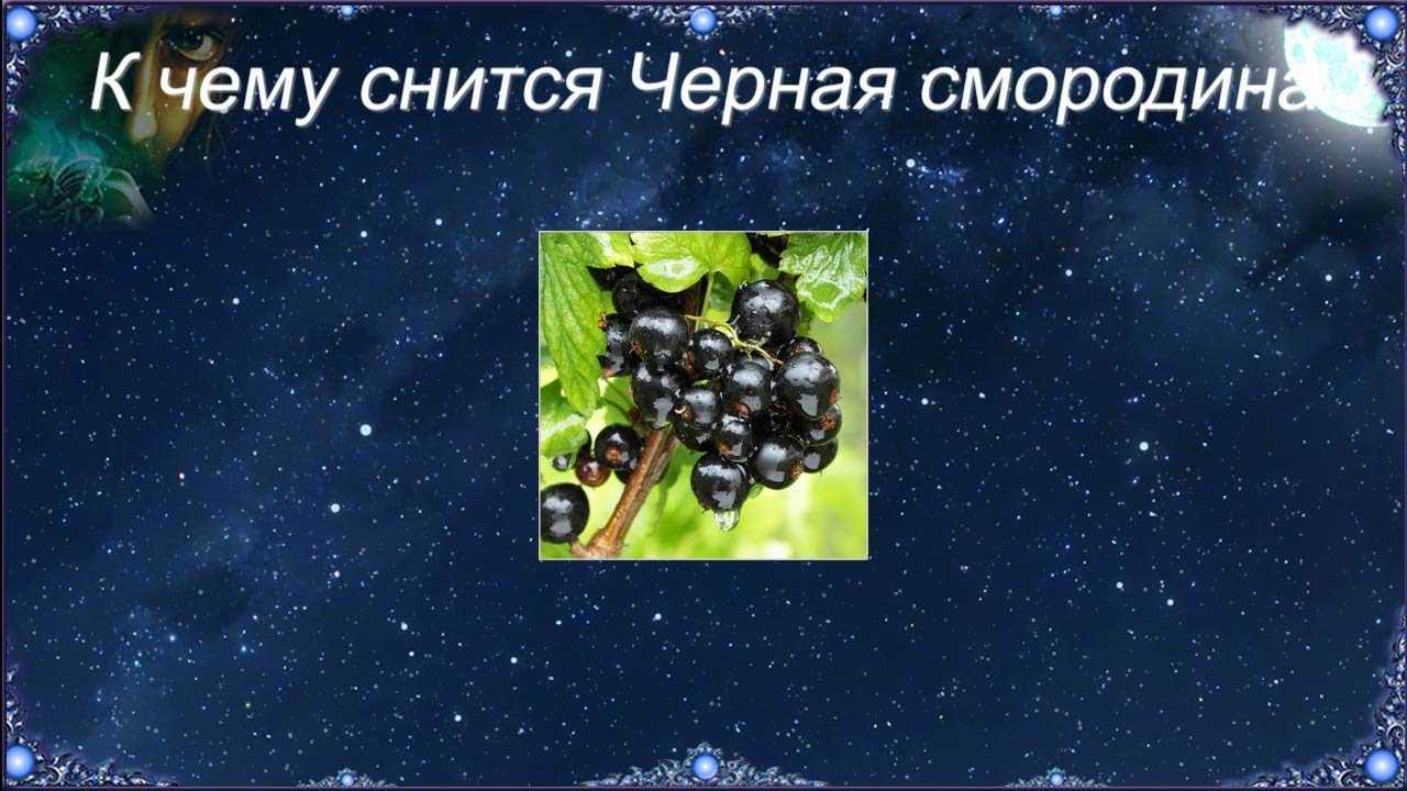 К чему снятся ягоды. сонники про собирание красных и черных ягод