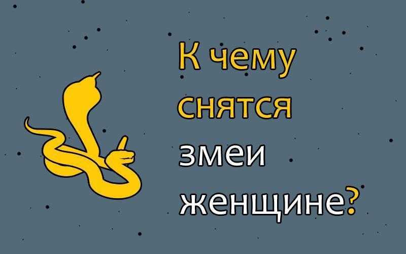 Приснилась змея, к чему, цвет, размерил. действия змеи во сне, пол и возраст сновидца