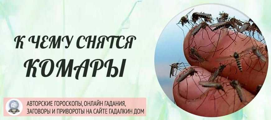 Сонник - толкование снов онлайн бесплатно - сонник дома солнца