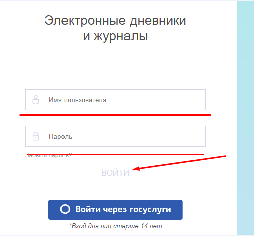 Пошаговые инструкции по лк «барс образование 33 рф»