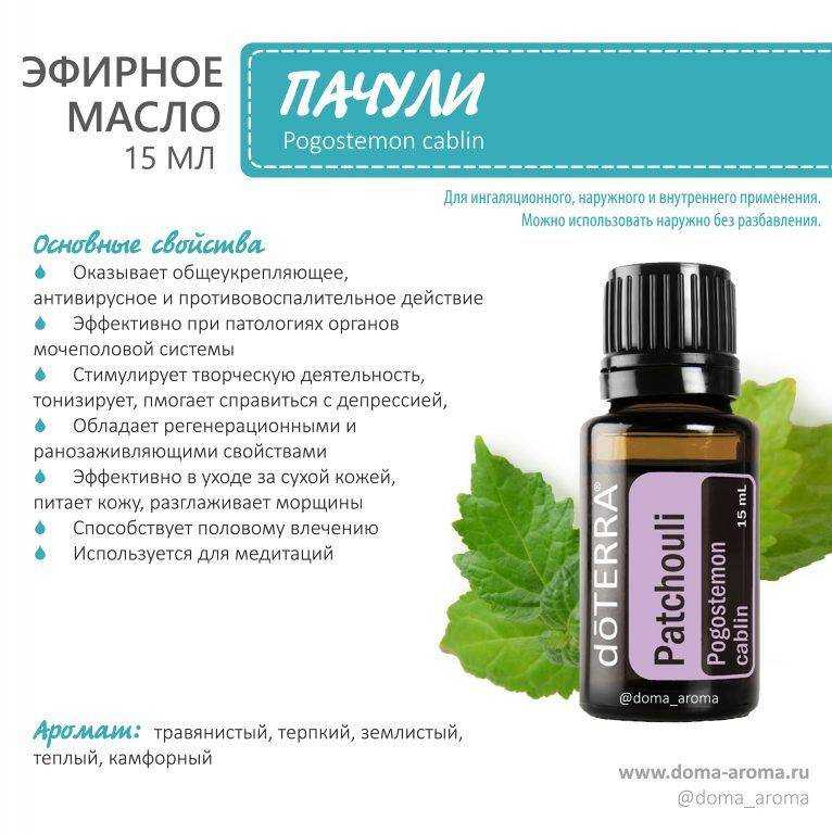 Масло пачули для денег - полезные свойства и секреты применения
