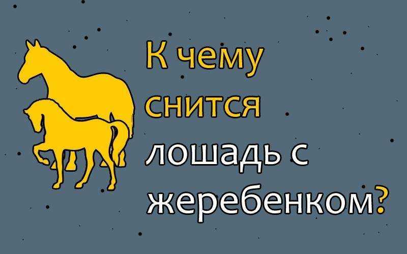 Сонник лошадь нападает. к чему снится лошадь нападает видеть во сне - сонник дома солнца