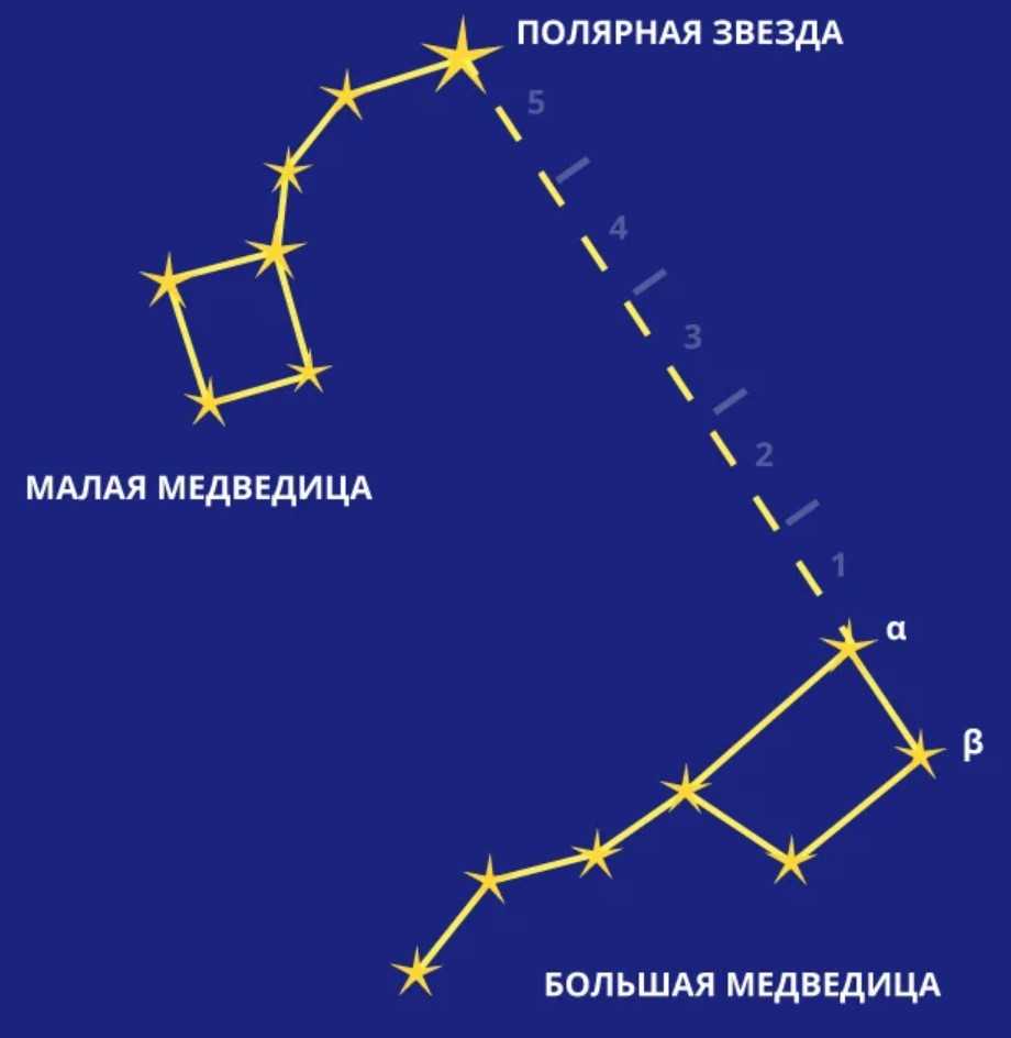 Созвездие малая медведица, ее звезды, какая она из себя