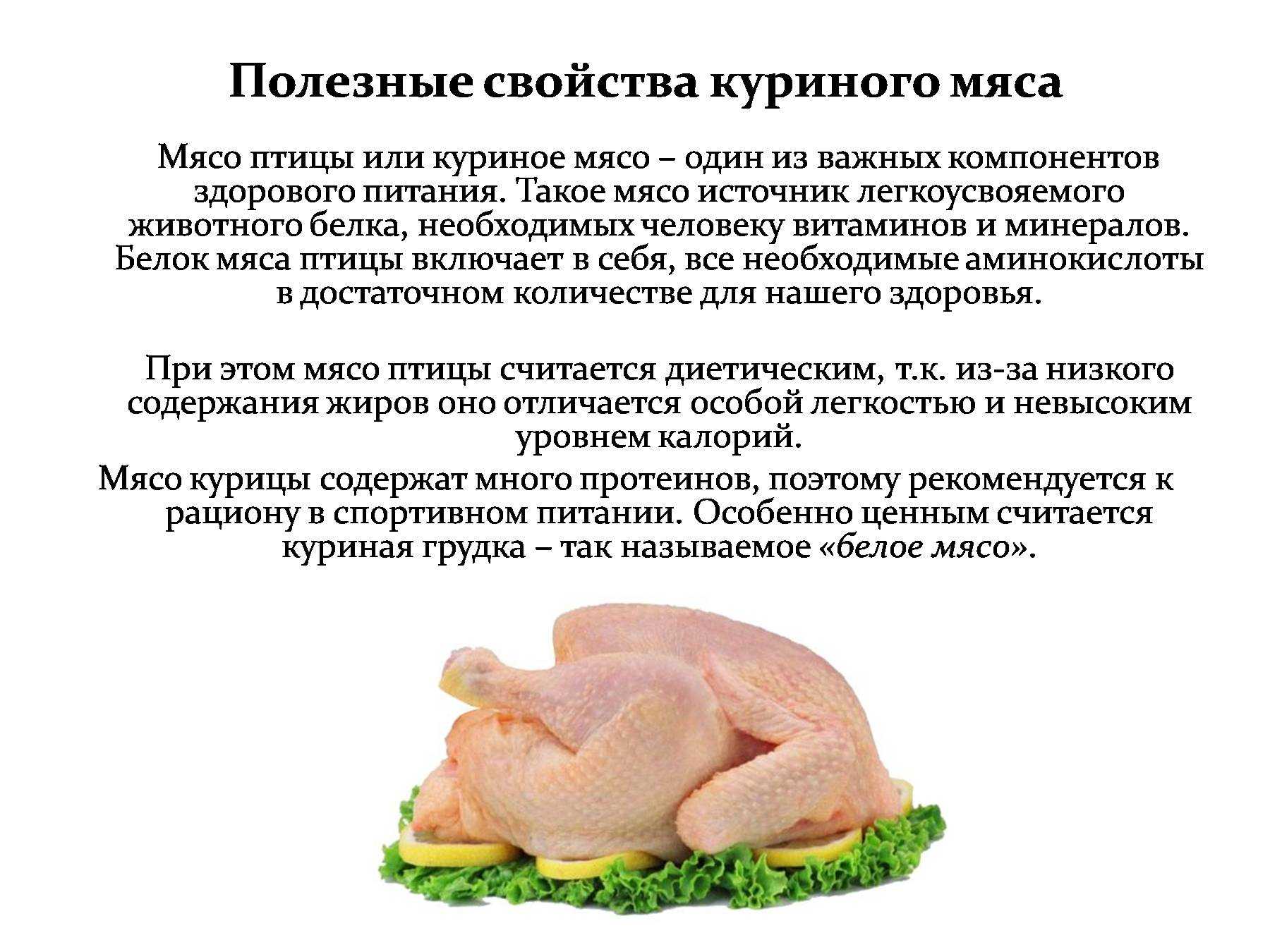 К чему снятся куры: толкование по сонникам