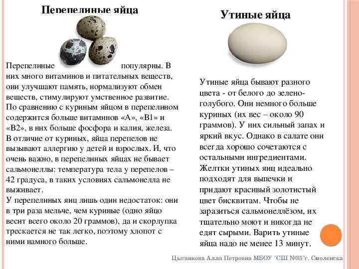 К чему снится перепелиное яйцо