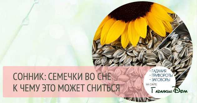 Подметать во сне: к чему снится?
