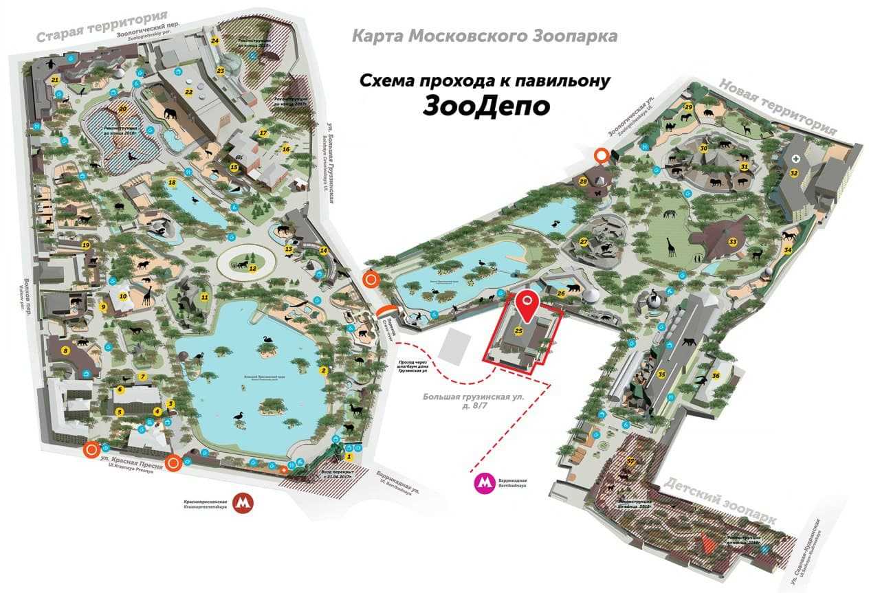 Самый лучший зоопарк в россии: рейтинг и город