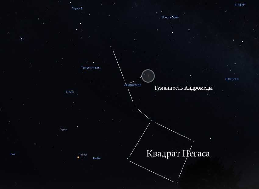 Созвездие пегас