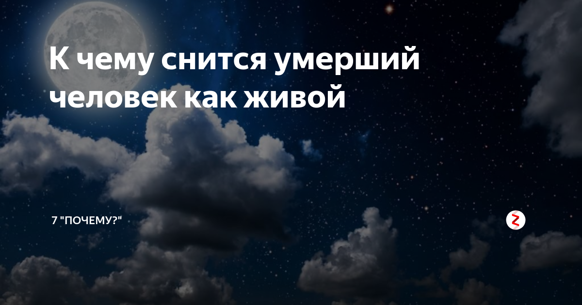 Сонник ругаться или ссориться с покойником: к чему снится и что означает сон?