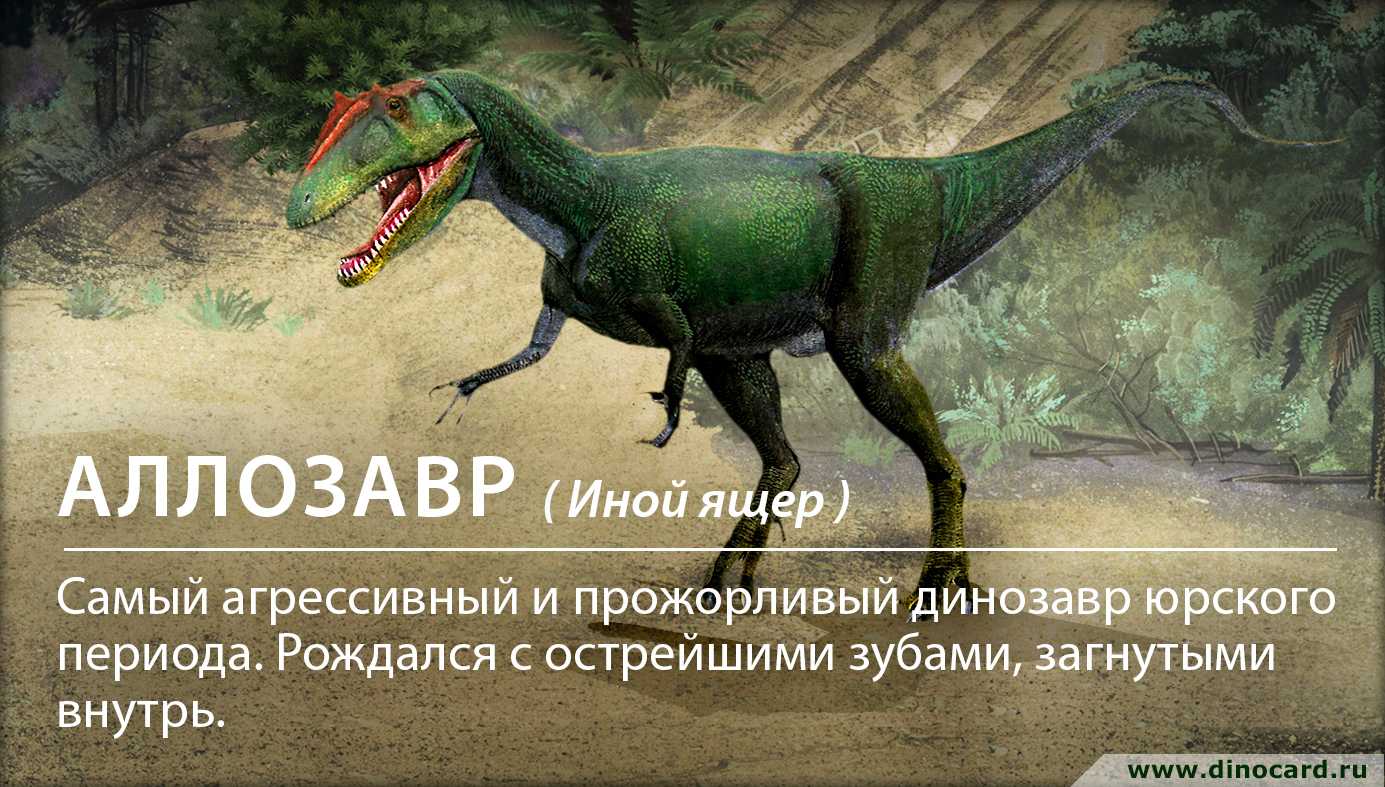 К чему снится динозавр: толкование значения сна по различным сонникам для мужчин и женщин
