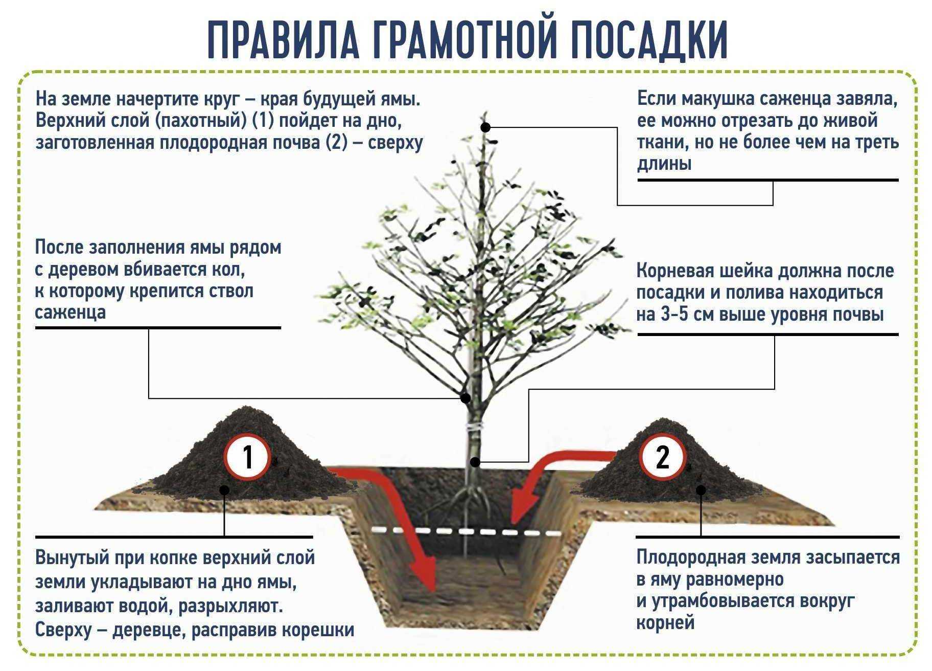 Сажать цветы
