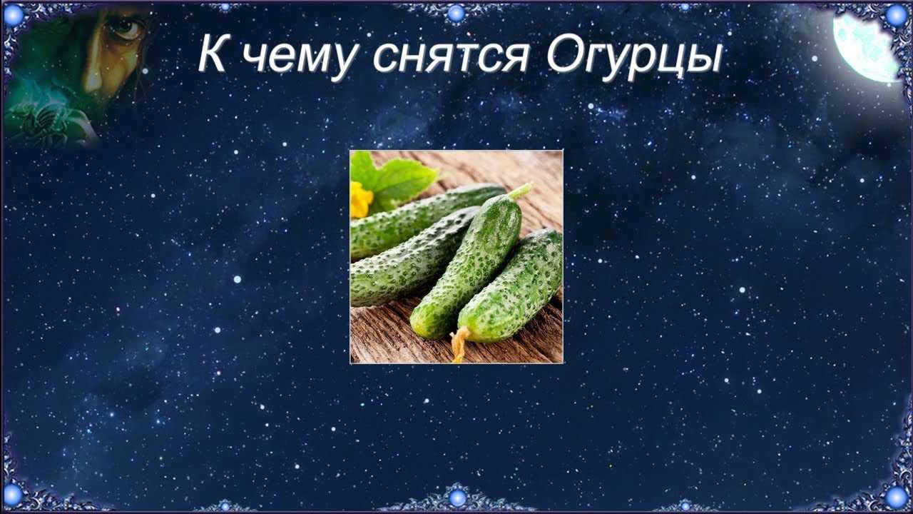 К чему снится  огурец во сне — по 90 сонникам! если видишь во сне огурец что значит?