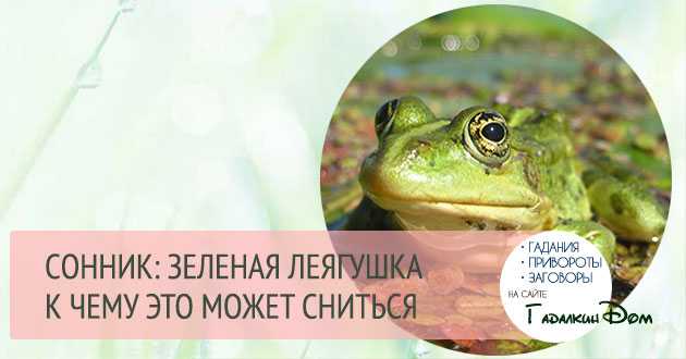 Много лягушки
