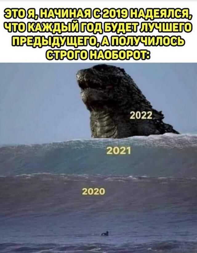 Приколы космического енота в 2023 году