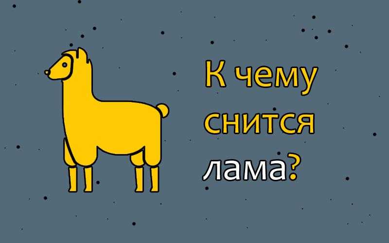 К чему снится верблюд во сне женщине - толкование сна
