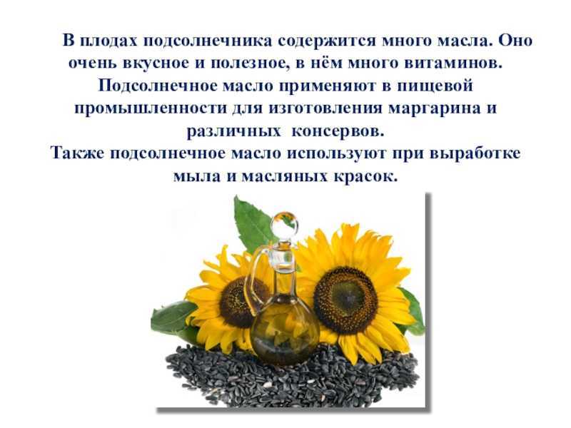 Подсолнухи по соннику