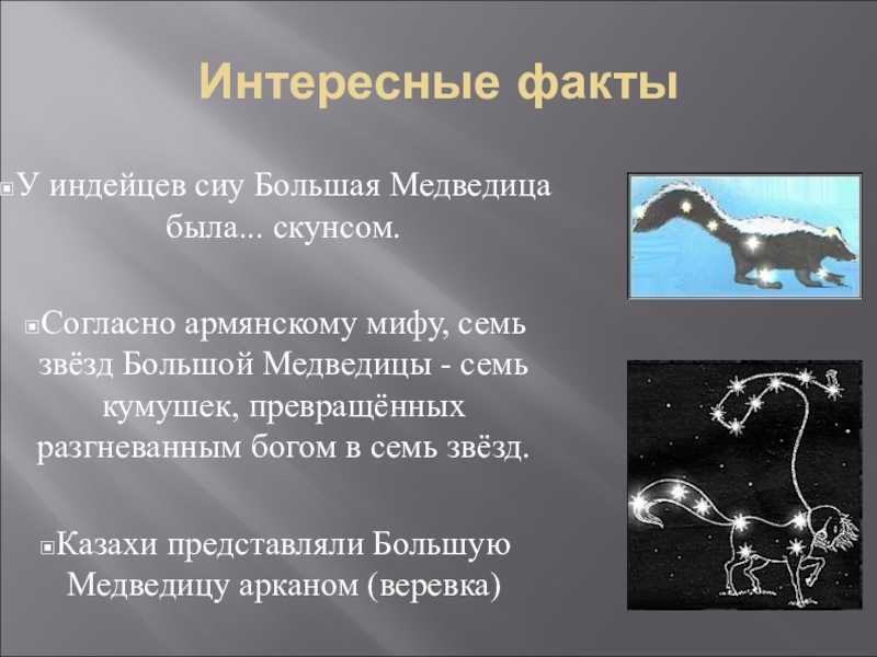 Как читать натальную карту: советы для начинающих