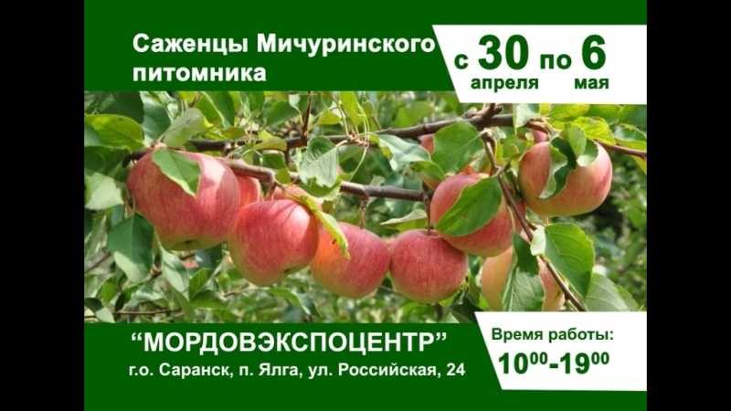 «растение к чему снится во сне? если видишь во сне растение, что значит?»