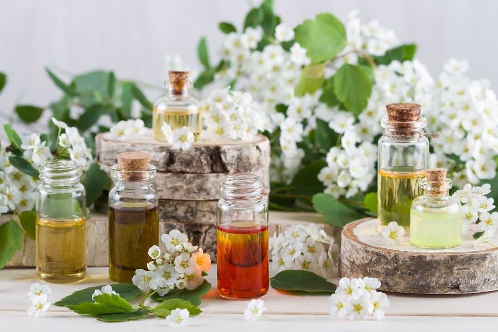 Масло пачули для привлечения успехов и денег