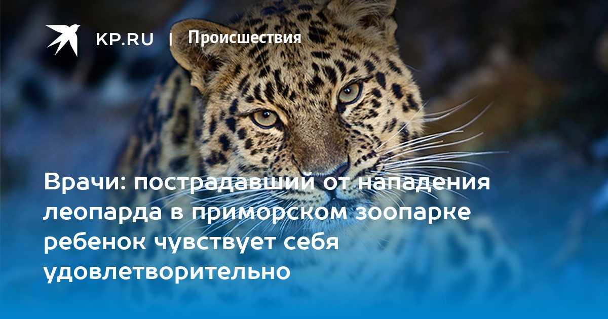 К чему снится леопард женщине -