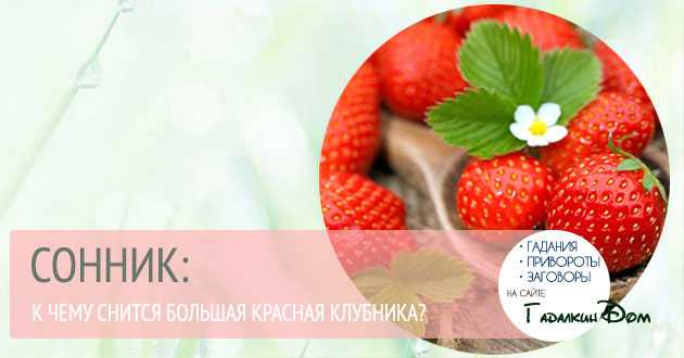 Как трактовать сон о землянике — 50 точных значений