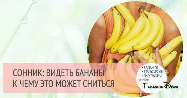 К чему снятся бананы? толкование по 58 сонникам