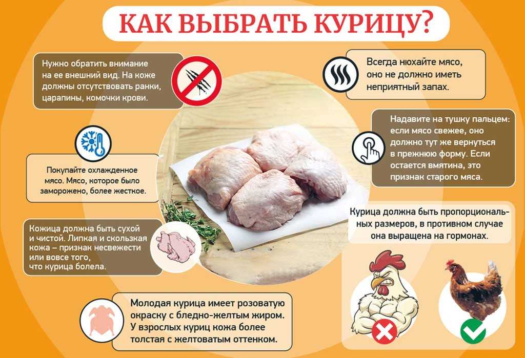 Курица - один из самых популярных мясных продуктов, которым люди питаются на протяжении многих веков Она является источником полезных белков и