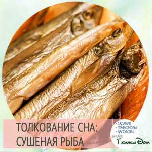 🍀 детально разбираем, к чему снится рыба — толкование сна в различных сонниках | увидеть во сне рыбу, к чему это?