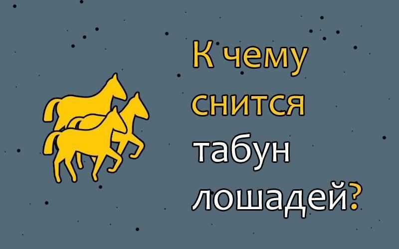 К чему снится лошадь женщине: значение и толкование сна - tolksnov.ru
