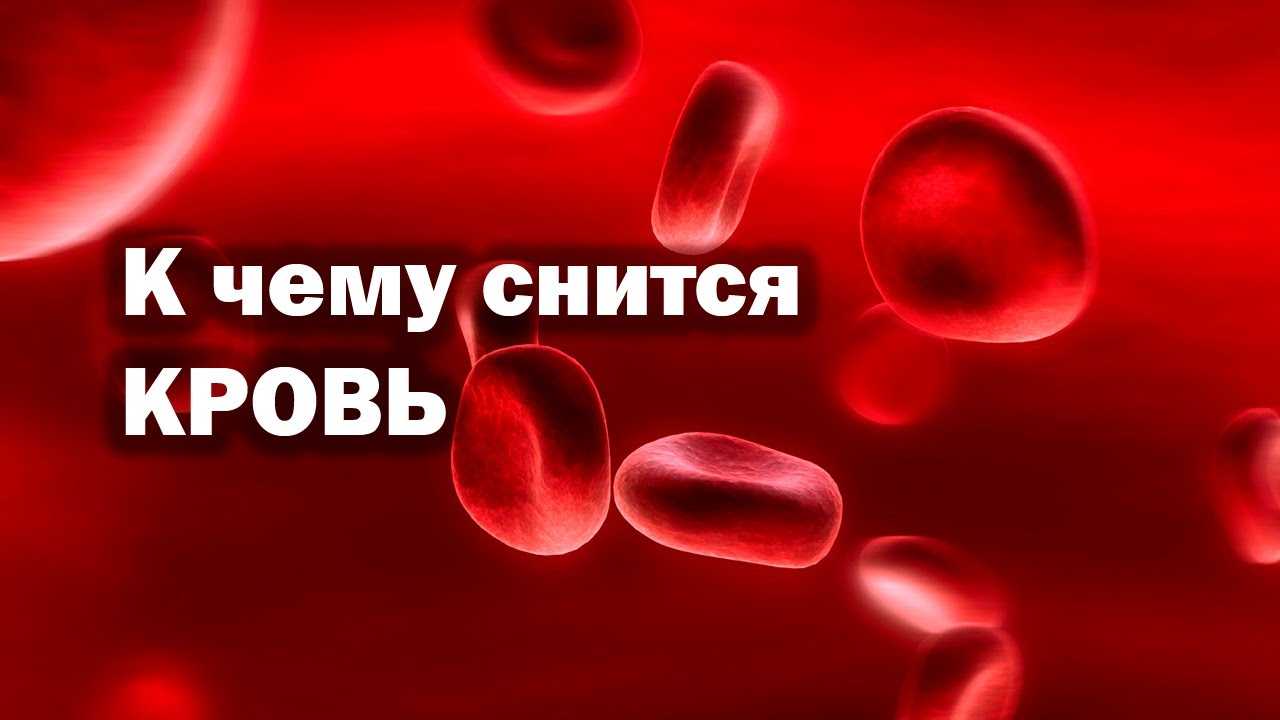 Сонник - рана на руке: выбор сонника, значение и толкование сна - tolksnov.ru