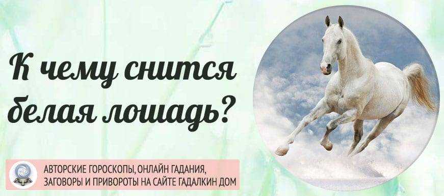 К чему снится черный конь по соннику? видеть во сне черного коня – толкование снов.