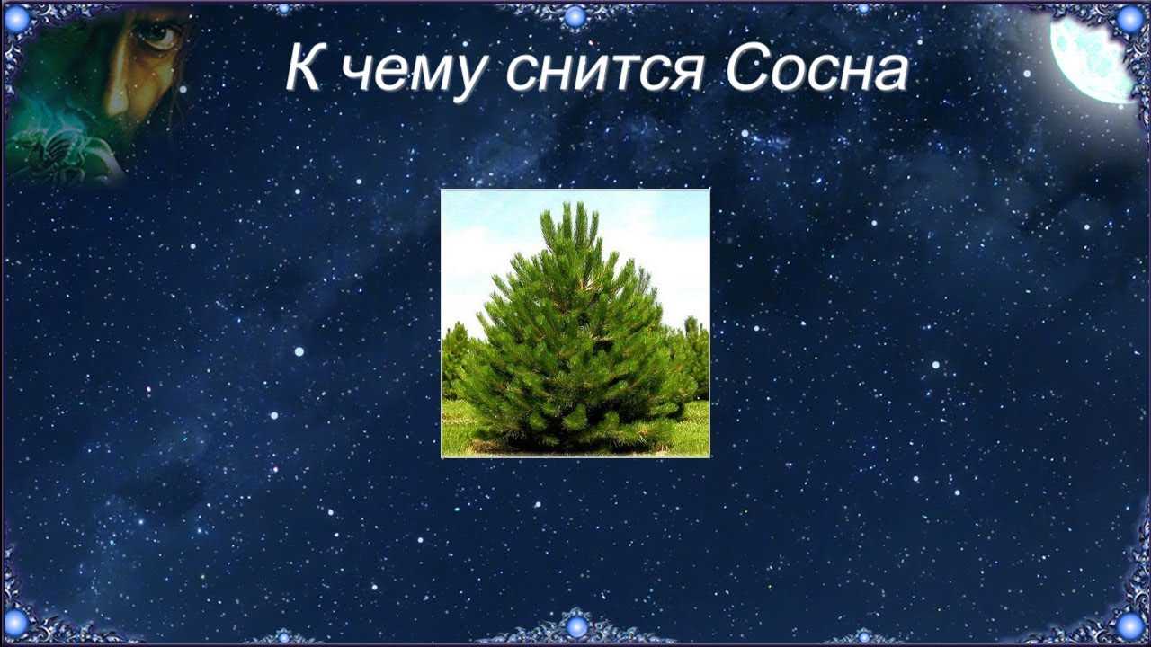 Вешать новогодние игрушки на елку