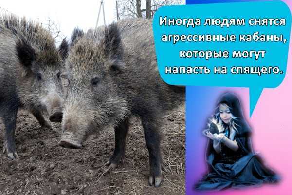 К чему снится покойник - значение сна покойник по соннику