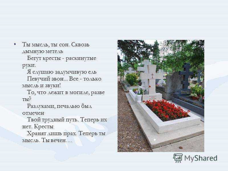 К чему снится кладбище и могилы для женщины: по сонникам    :: клео.ру